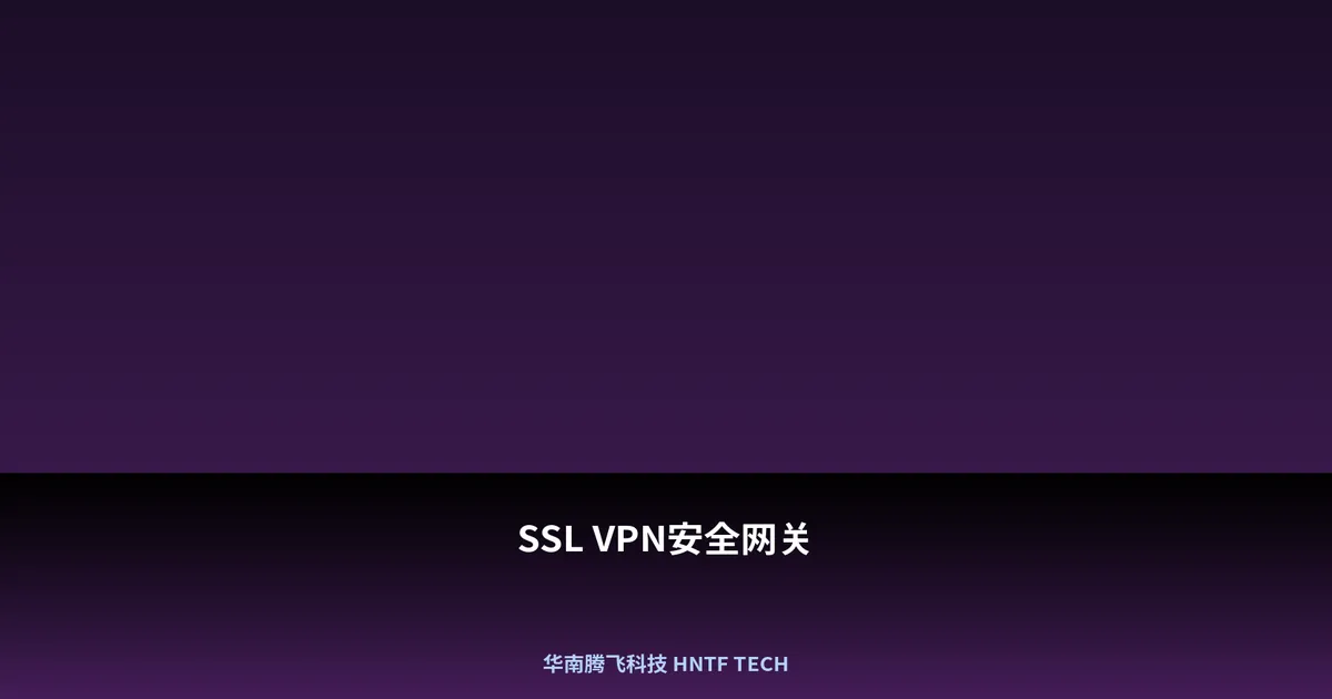 SSL VPN安全网关