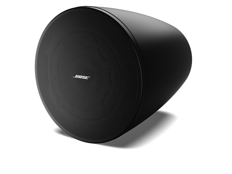 BOSE DM6PE 垂吊扬声器(1 对)