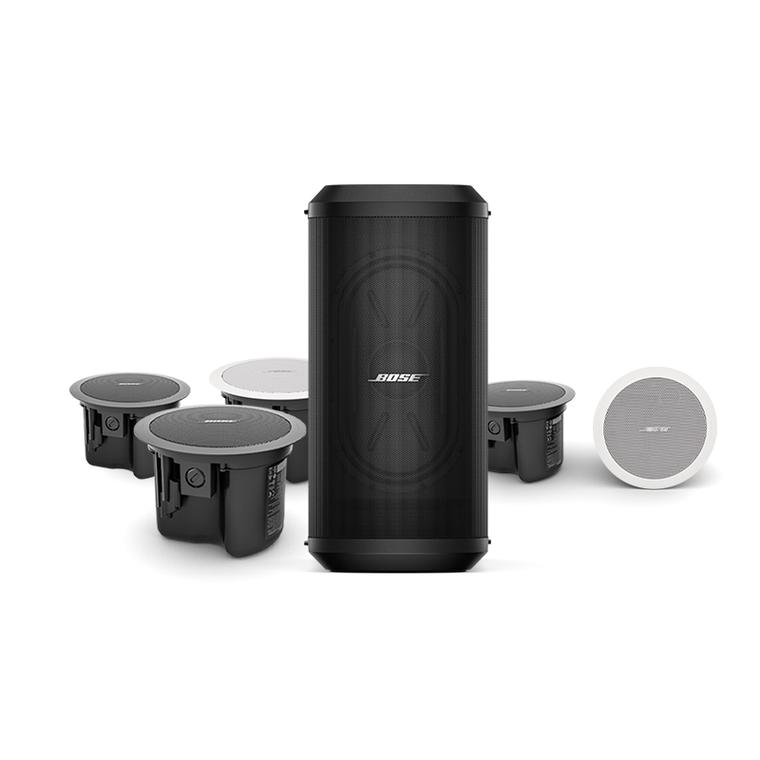 Bose Professional 550 专业家庭影院套装