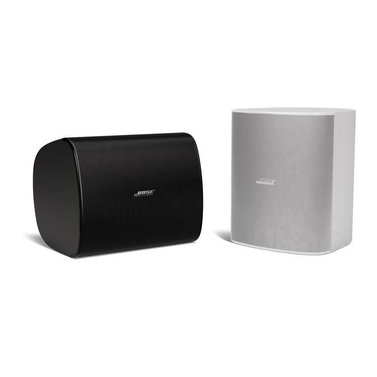 Bose DM12SE 12英寸全天候壁装同轴扬声器