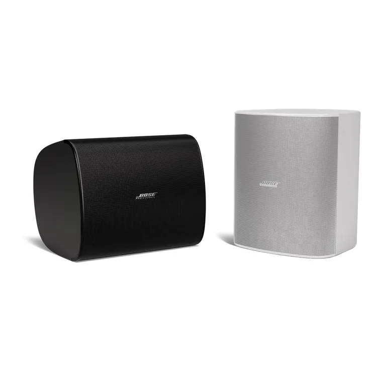 Bose DM12SE 12英寸全天候壁装同轴扬声器