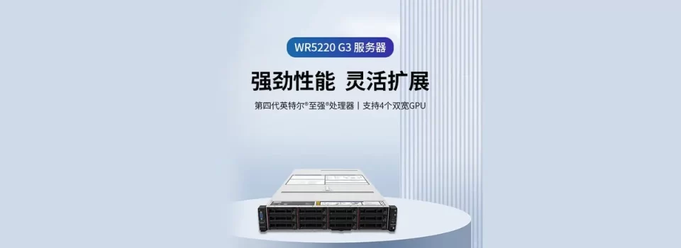 服务器 机架 WR5220 G3 联想2U双路